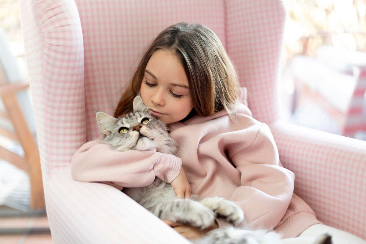 Hoe zorg je voor een gelukkige kat: tips en advies