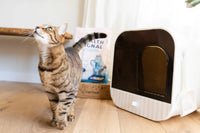 Health Signal Kattenbakvulling