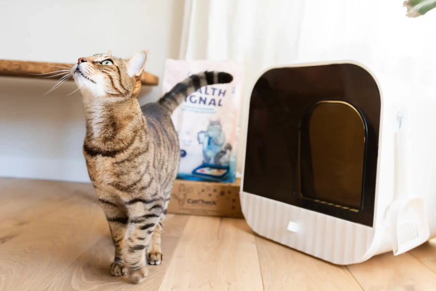 Health Signal Kattenbakvulling