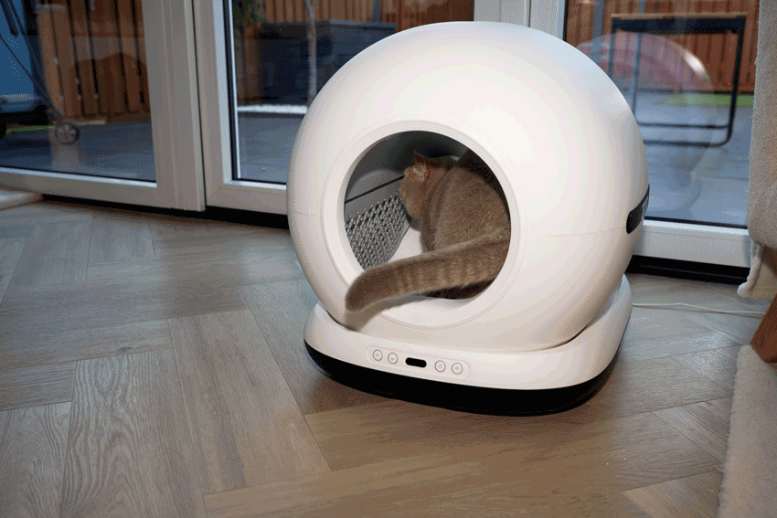 <p>Stays neatly in the bin, <br/>– just <strong>a clean home</strong></p>