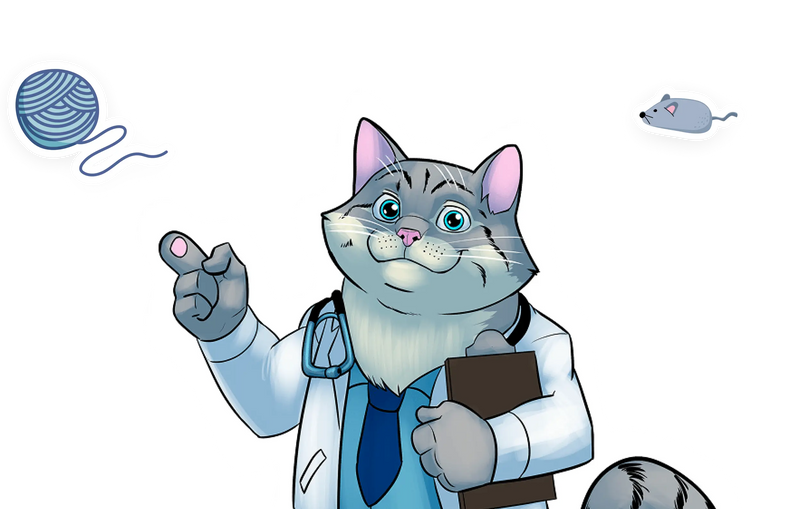 Slim zorgen voor je kat