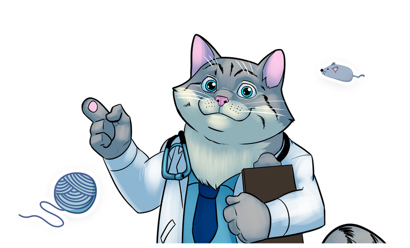 Smart caring for your cat