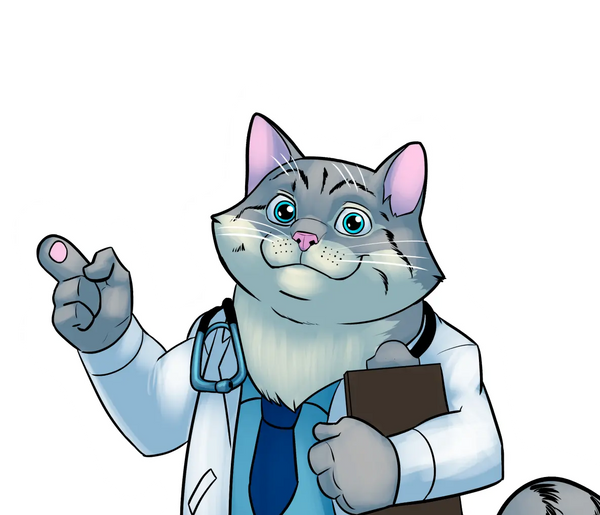 Smart caring for your cat