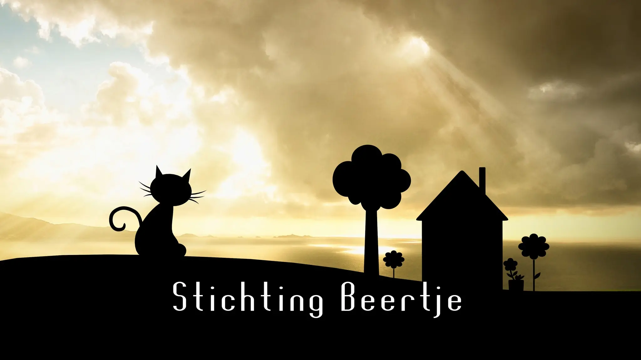 Over ons 18 Stichting Beertje logo
